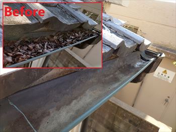 下屋　軒樋　清掃